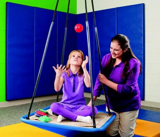 СЕНСО-МОТОРНАЯ ИНТЕГРАЦИЯ